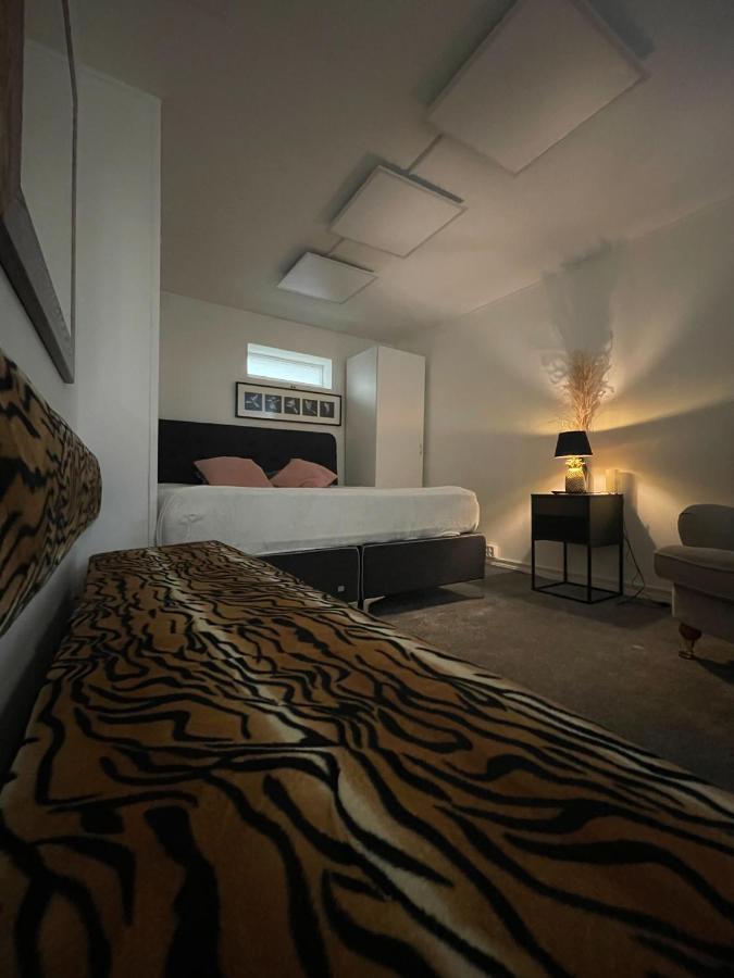 Brabo Apartment แลนด์สครูนา ภายนอก รูปภาพ